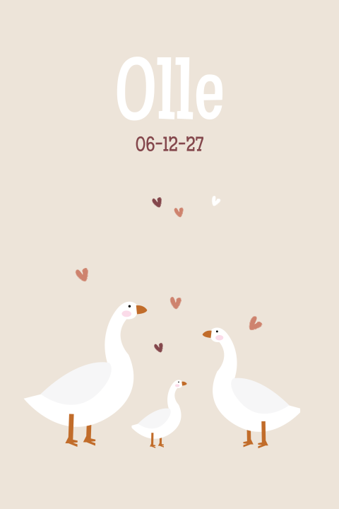 Geboortekaartje jongen met 3 gansjes natuurlijk