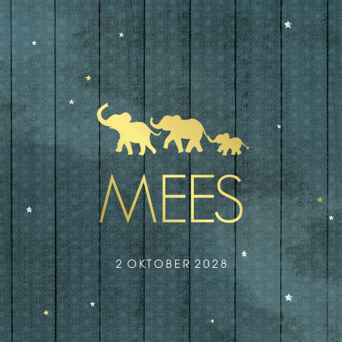 Stoer geboortekaartje jongen olifantjes goudfolie en houtlook