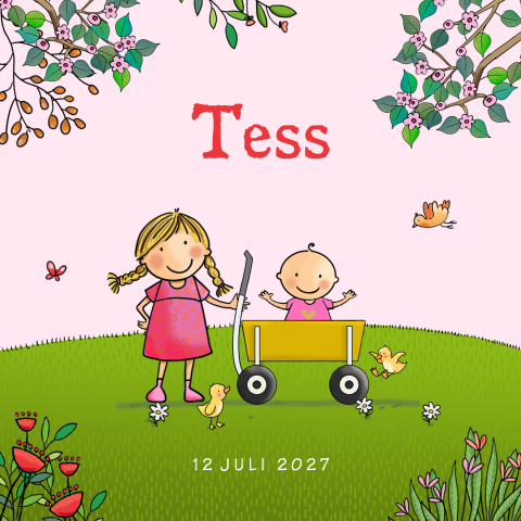 Geboortekaartje zusje met grote zus in bolderwagen