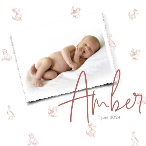 Dieren geboortekaartje meisje met foto
