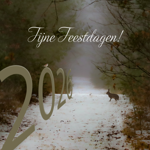 Zakelijke kerstkaart 2026 het winterse bos