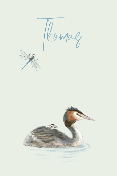 Geboortekaartje jongen fuut met jong