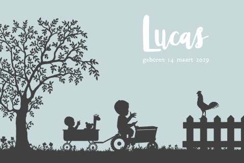 Boerderij-thema geboortekaartje broertjes tractor