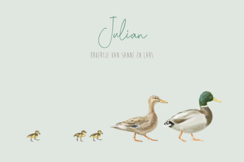 Geboortekaartje jongen 3e kindje familie eend 