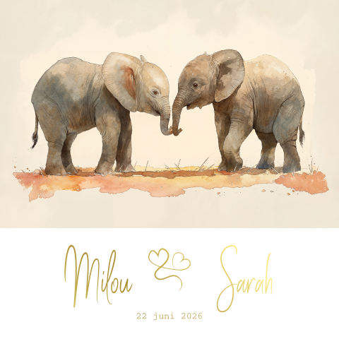 Geboortekaartje tweeling met olifantjes