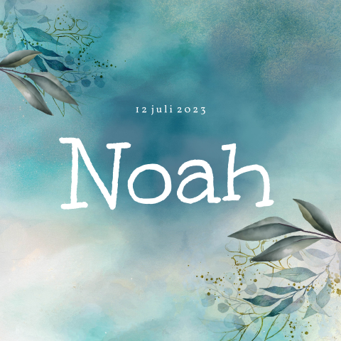 Geboortekaartje jongen met aquarel en takjes