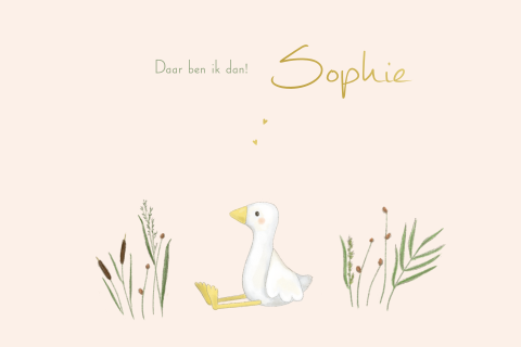 Geboortekaartje meisje gans met riet