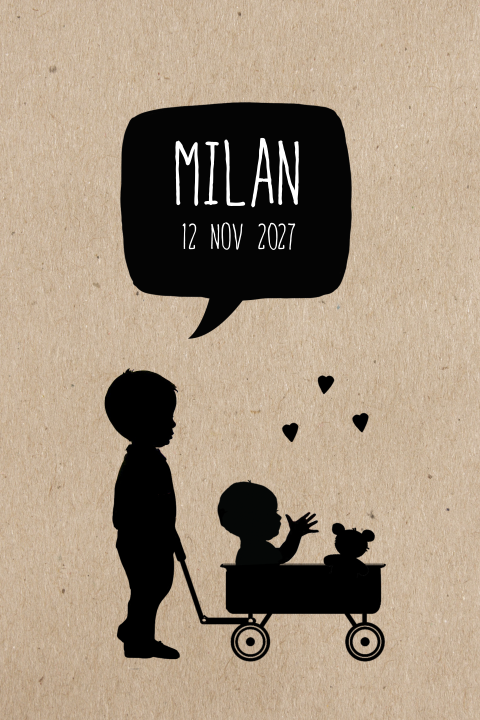 Leuke tweede kind geboortekaartje baby in bolderkar met broertje