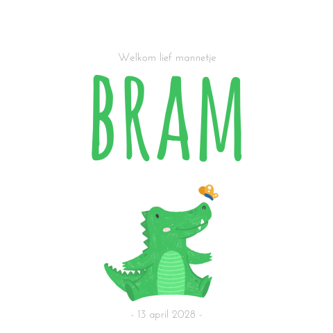 Geboortekaartje jongen met krokodil
