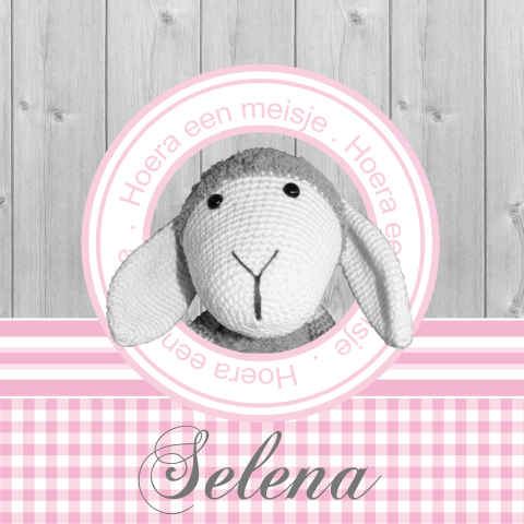 Hip geboortekaartje meisje met schaap knuffel