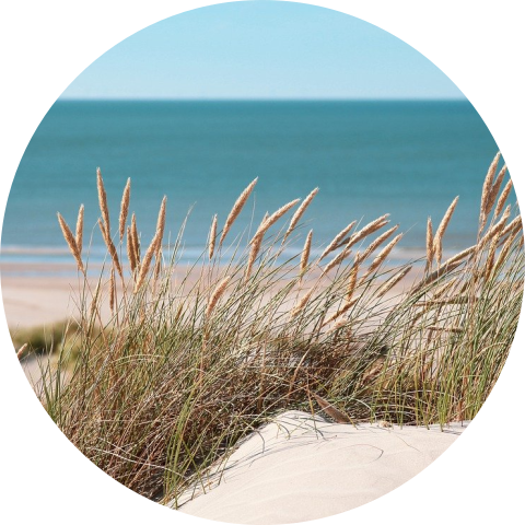 Sticker strand en zee thema met wegwijsborden