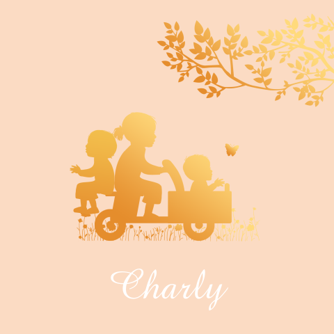 Geboortekaartje bakfiets 3e kindje meisjes koperlook