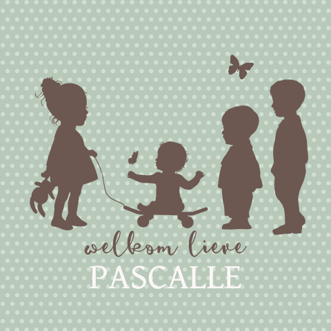 4e kindje geboortekaartje jongen met skateboard