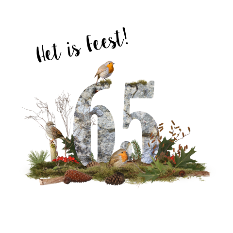 Uitnodiging voor een 65e verjaardag met roodborstjes