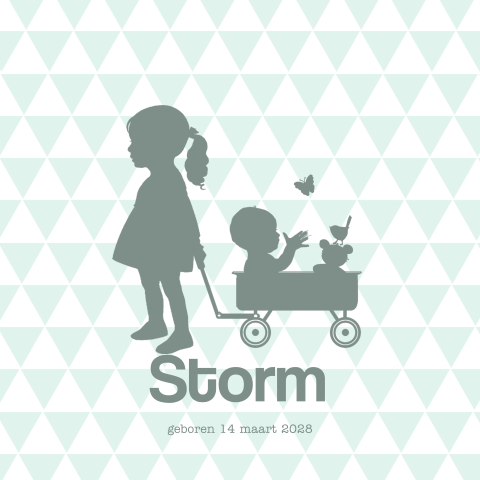2de kindje geboortekaartje jongen in een kar