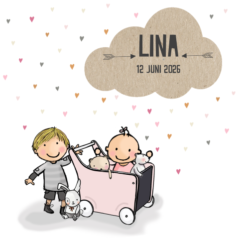 Geboortekaartje 2e kindje meisje met broer en knuffels