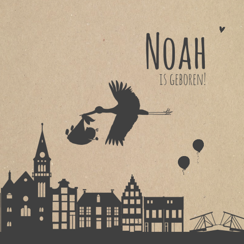 Leuk nederlands geboortekaartje met molen en ooievaar