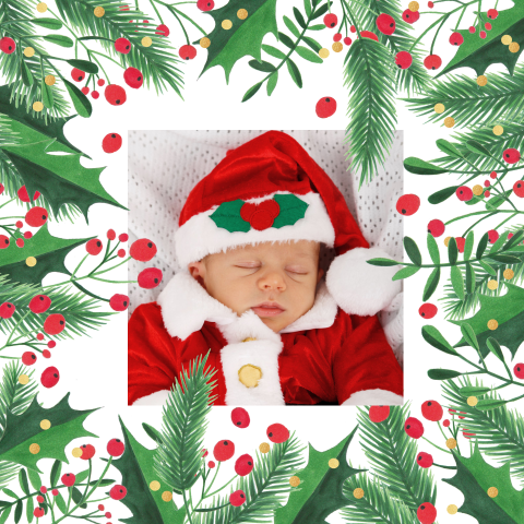 Kerstkaart foto hulst kersttakken