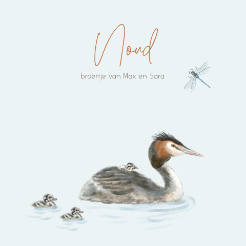 Geboortekaartje jongen derde kindje fuut met jongen