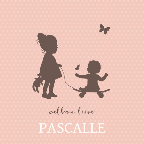 Skateboard geboortekaartje meisje 2e kindje