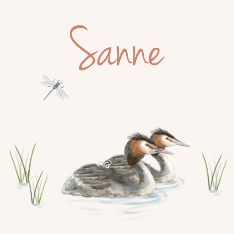 Geboortekaartje meisje fuut met jong