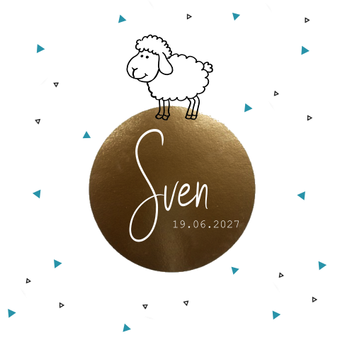 Leuk geboortekaartje jongen met een schaap