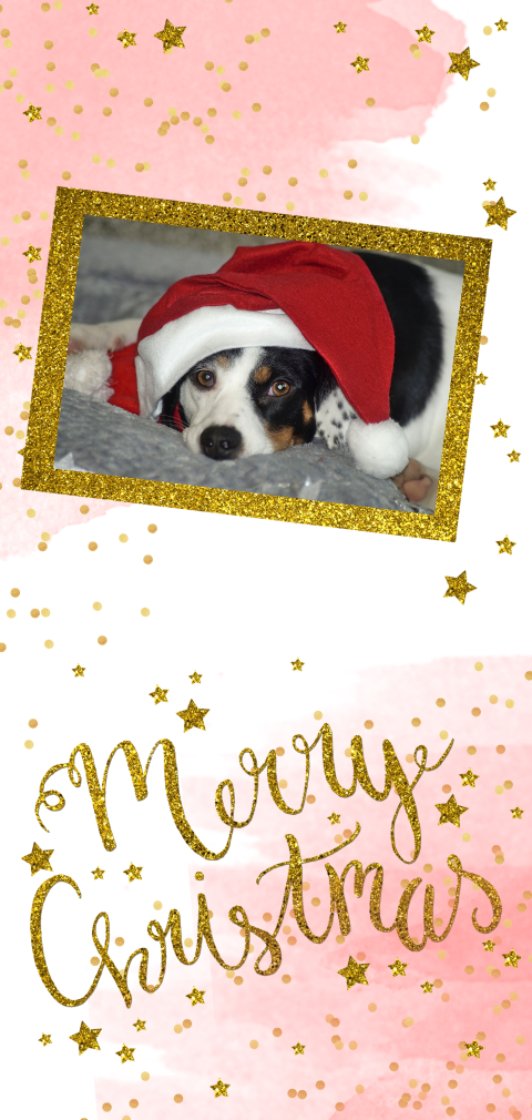 Kerstkaart langwerpig foto huisdier aquarel sterren glitter