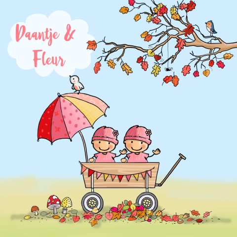 Herfst geboortekaartje tweeling in kar