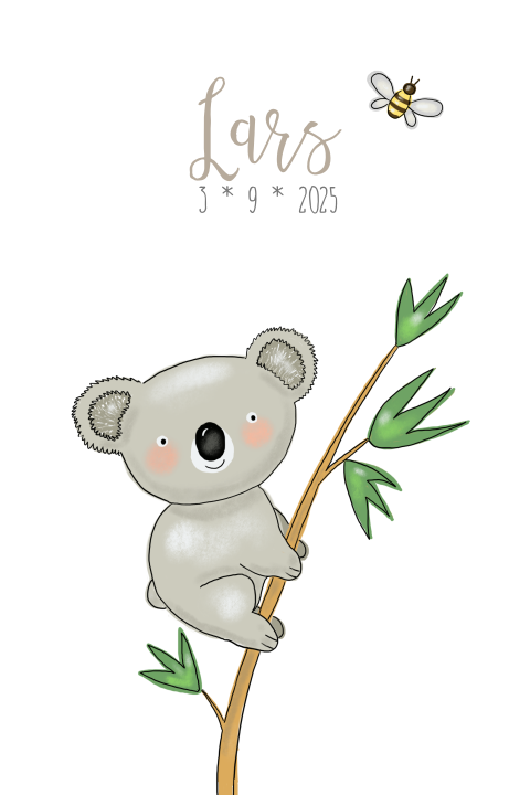 Geboortekaartje koala jongen