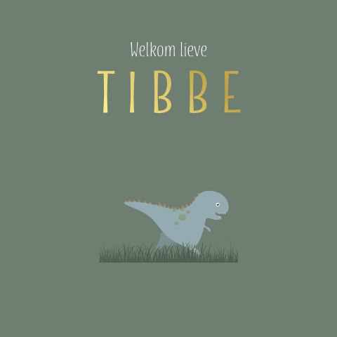 Geboortekaartje baby jongen met dino groen