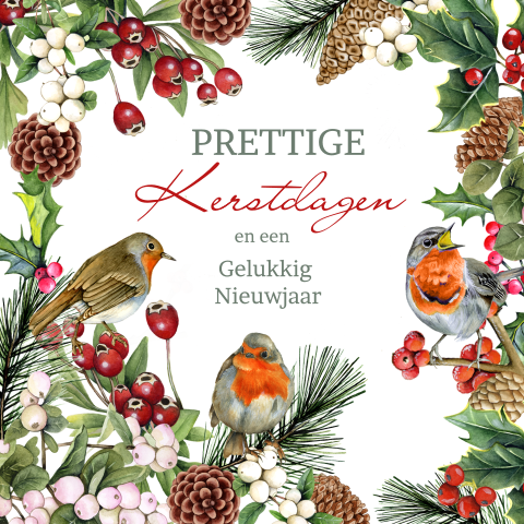 Kerstkaart roodborstjes kersttakken