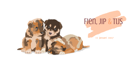 Geboortekaartje met 3 hondjes voor een drieling of 3e kindje