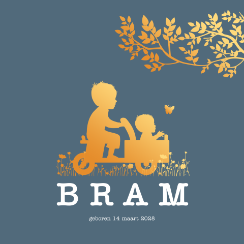 2e kindje geboortekaart jongen koperlook bakfiets