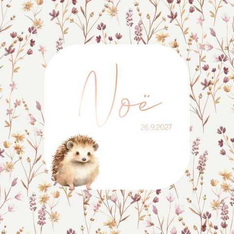 Lief meisjes geboortekaartje met bloemetjes en egel