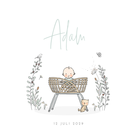 Geboortekaartje baby jongen in rotan wiegje met takjes