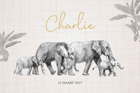 Neutraal geboortekaartje met pentekening van olifanten