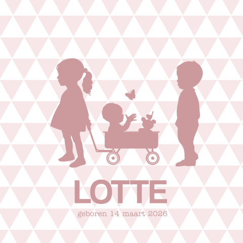 3e kindje geboortekaartje zus en broer met zusje in kar