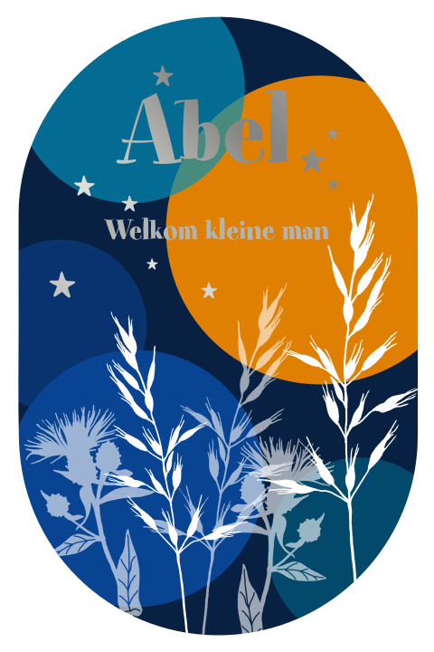 Geboortekaartje voor een jongen met blauwe cirkels en bloemen