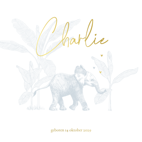 Geboortekaartje neutraal klein lief olifantje