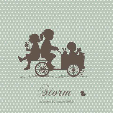 Geboortekaartje broertje derde kindje zussen