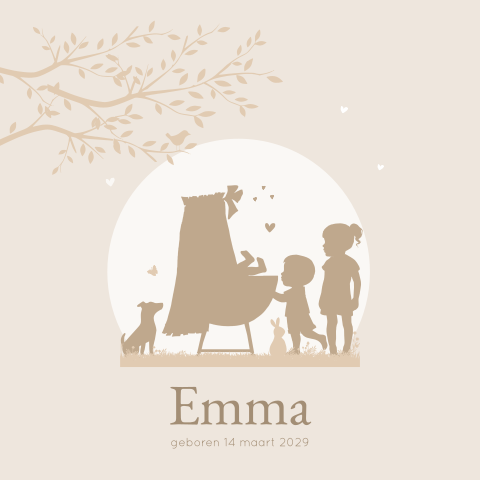 Derde kindje geboortekaart meisjes baby in wiegje met broer en zus