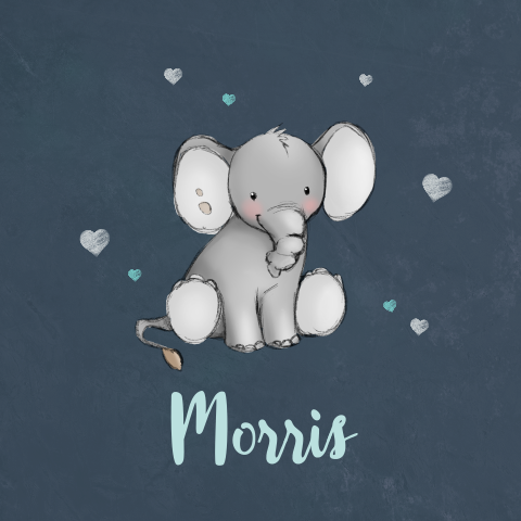 Leuk geboortekaartje voor een jongen met olifant en hartjes