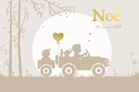 Geboortekaartje meisje achterin in kar landrover met grote broer