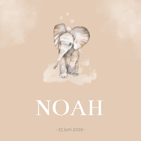 Geboortekaartje unisex met een olifant op warme achtergrond