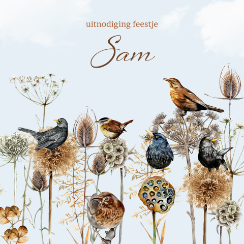Uitnodiging feestje verjaardag 60 jaar vogels takken