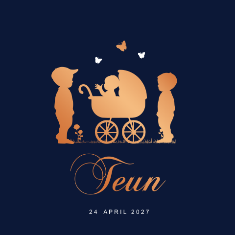 Kinderwagen geboortekaartje drie broers met hoogglans koper lak