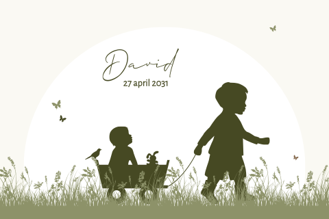 Geboortekaartje 2e kindje jongen bolderkar met broer