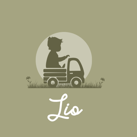 Silhouet geboortekaartje jongen vrachtwagen