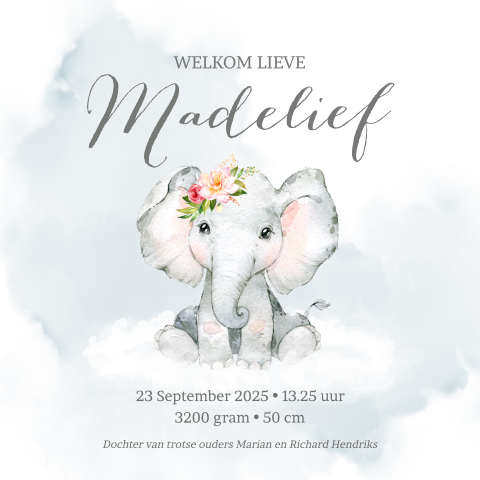Geboortekaartje olifant meisje water color