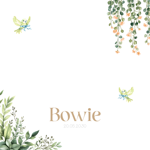 Geboortekaartje unisex met leeuwtje met teddybeer